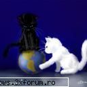 sweet dance