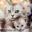 poze cu animale - oups.. - PiCs...;)