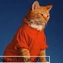 poze cu animale - oups.. - PiCs...;)