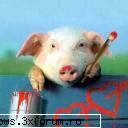 poze cu animale - oups.. - PiCs...;)