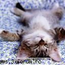 poze cu animale - oups.. - PiCs...;)