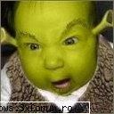 poze funny - oups.. - PiCs...;)
