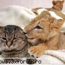 poze funny - oups.. - PiCs...;)