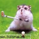poze funny - asta'mi place raau - PiCs...;)